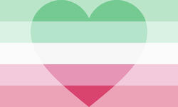 abroromantic - individuals whoexperience their romantic orientation as fluid and/or changing over time.