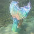 mermaidkin
